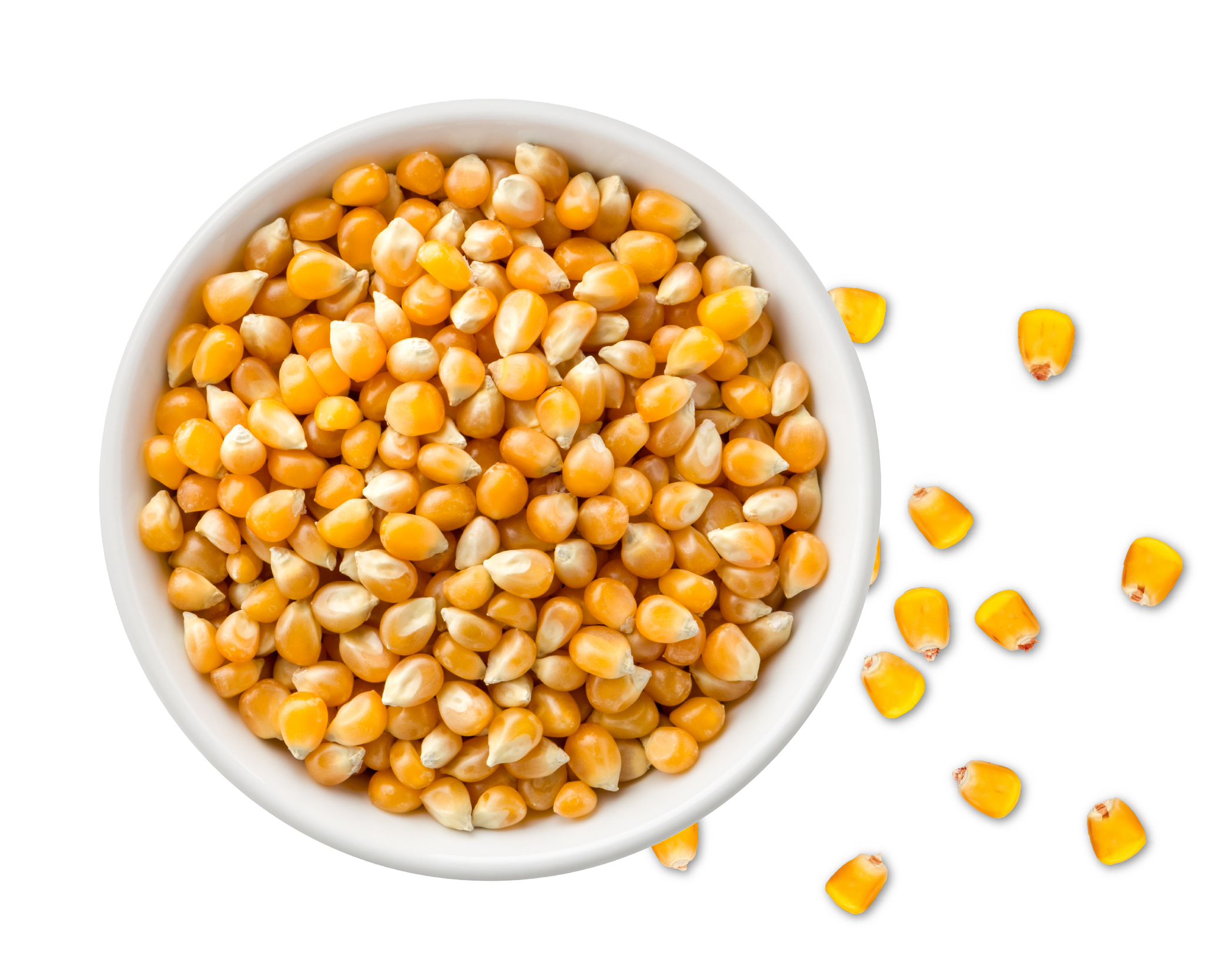 A bowl of fresh corn, representing LifeLine Foods' commitment to high-quality, sustainably grown produce.